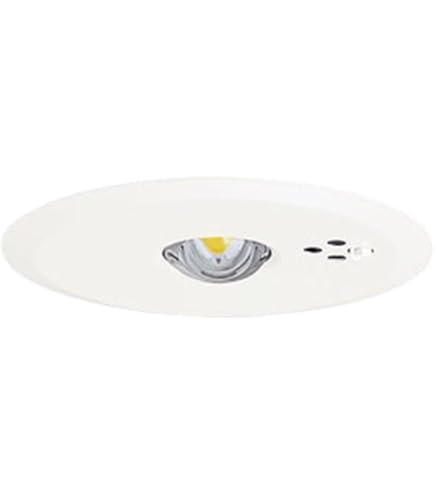 Amazon | パナソニック(Panasonic) 天井直付型 LED 昼白色 非常